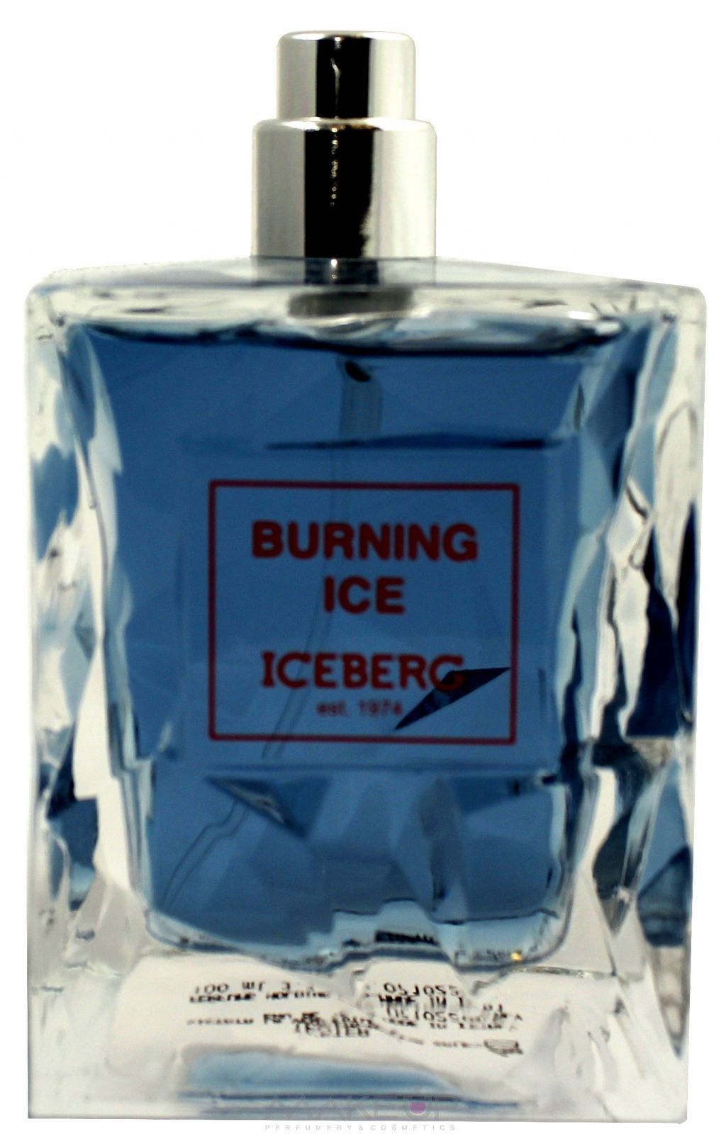 Iceberg Burning Ice