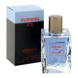 Iceberg Burning Ice
