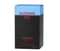 Iceberg Burning Ice