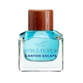 Hollister Canyon Escape Man 100 мл тестер