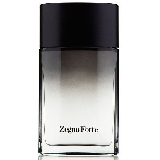 Ermenegildo Zegna Zegna Forte 50 мл