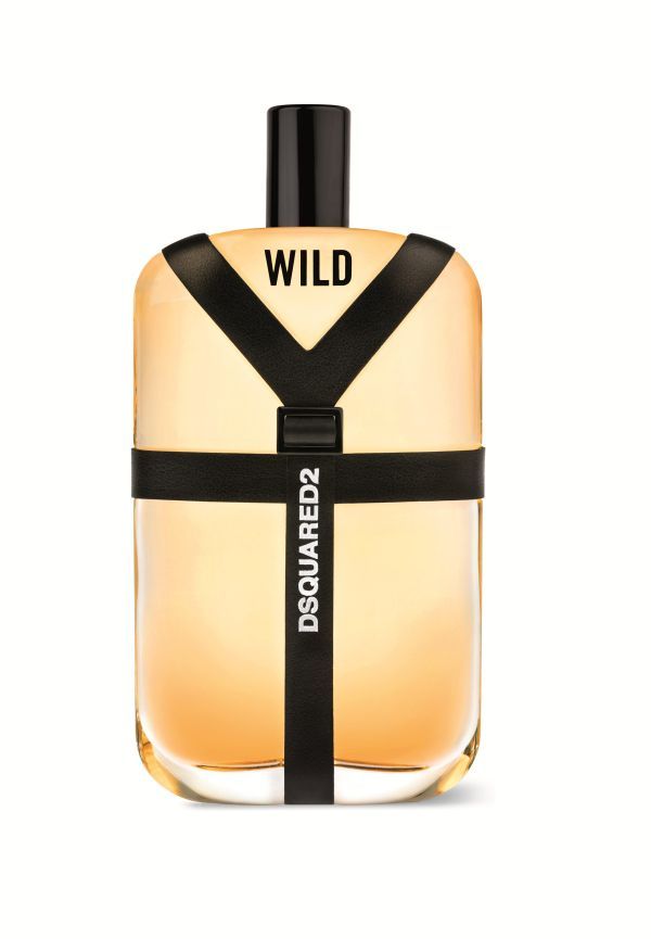 Dsquared2  Wild