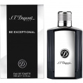 Dupont Be Exceptional 100 мл тестер